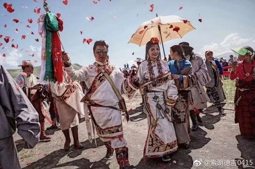 明星来到藏族,明星走进藏族文化之旅